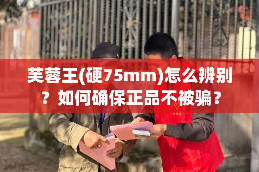 芙蓉王(硬75mm)怎么辨别？如何确保正品不被骗？